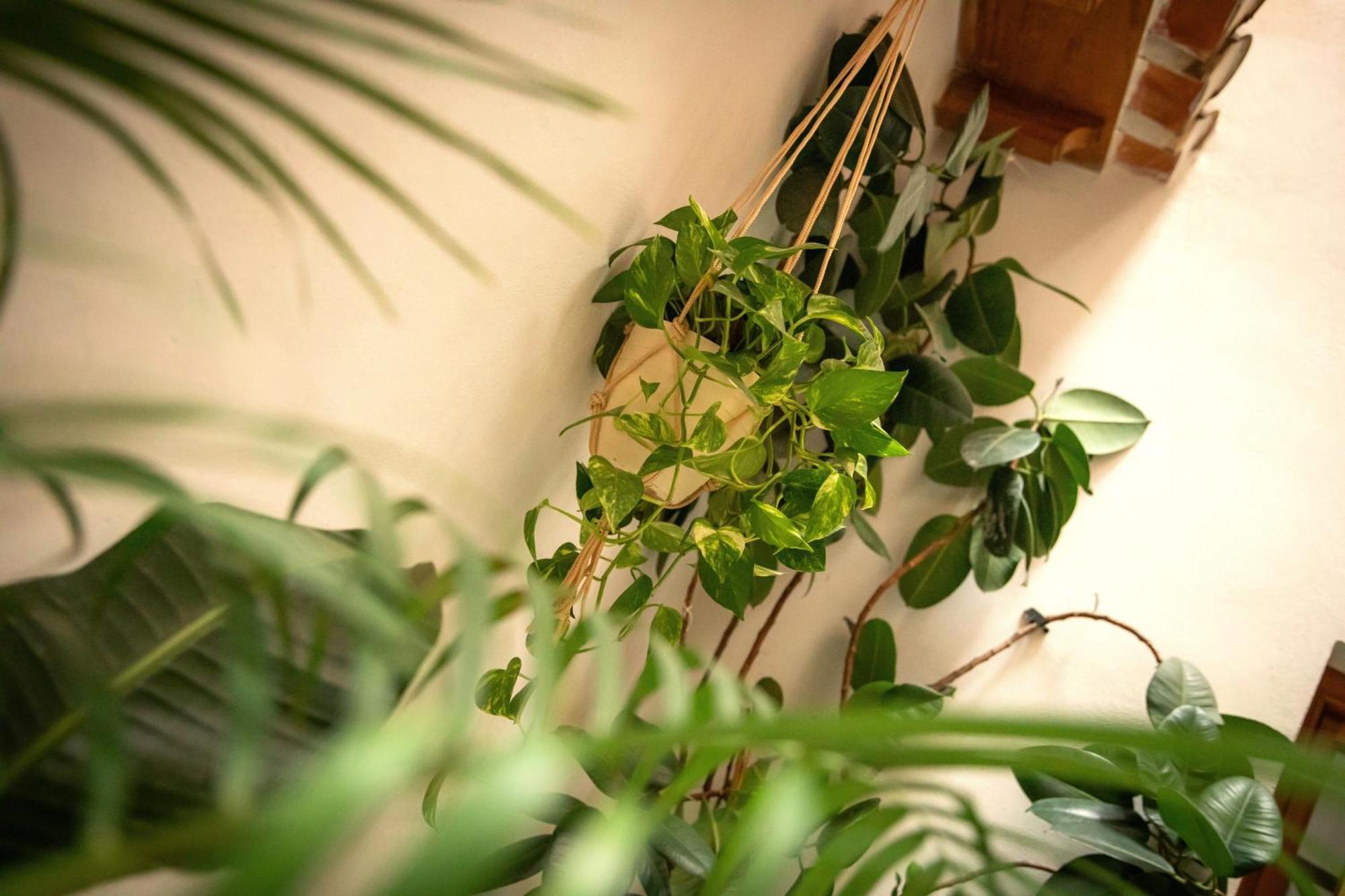 Apartamentos Vita Center Grenada Zewnętrze zdjęcie